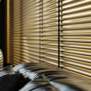 Description of Image